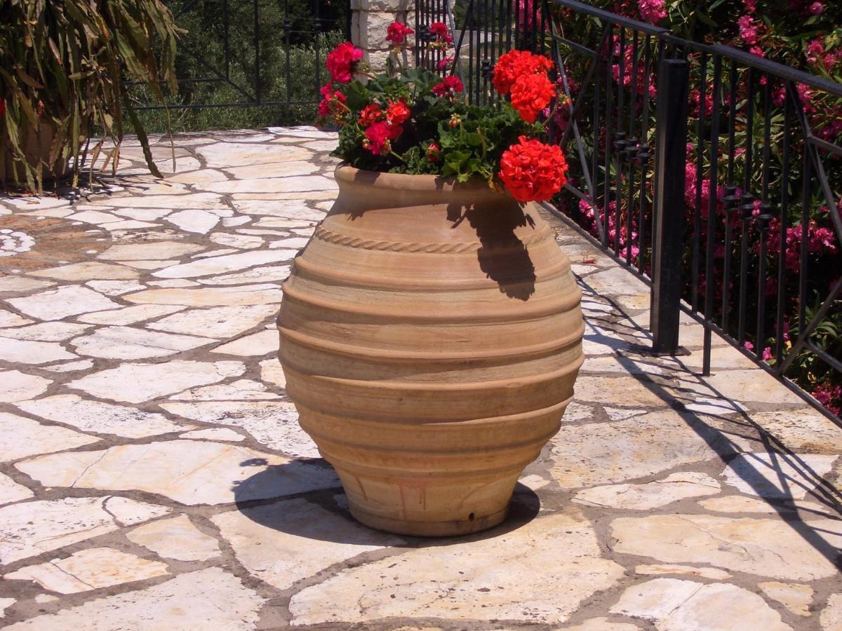 Villa Bacchus Kassiopi Corfu Exteriér fotografie